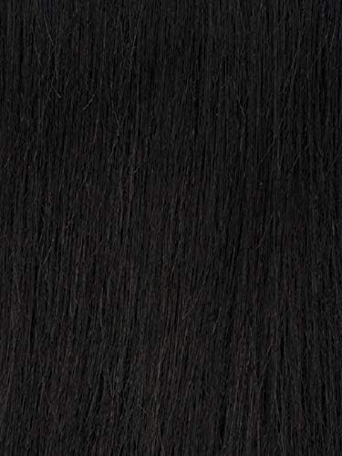 STRAIGHT 22" (1 Jet Black) - Shake-N-Go Organique Mastermix Synthetic Bundle Weave
