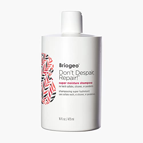 Briogeo Don't Despair, Repair! Super Moisture Shampoo, Dry Damaged Hair, Hair Shampoo with Argan Oil for Hair, Hair Moisturizer Hair Treatment Beauty & Personal Care Briogeo