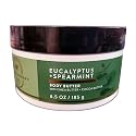Bath and Body Works Eucalyptus Spearmint Aromatherapy Body Butter 6.5 Ounces Beauty & Personal Care Bath & Body Works