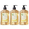 A LA MAISON Provence Lemon Natural Hand Wash Made with Essential Oils - Biodegradable, Plant-Based, Vegan, Cruelty-Free 16.9 Fl Oz (Pack of 3) Beauty & Personal Care A LA MAISON