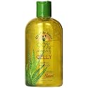 Lily of the Desert Aloe Vera Gelly Bottle, 12 Ounce (6 Pack) Beauty & Personal Care Lily Of The Desert