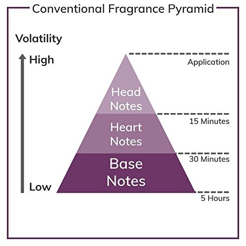 David Beckham Charming By Christine Darvin for Women Eau-de-toilette Spray, 3.4 Ounce Beauty & Personal Care Christine Darvin
