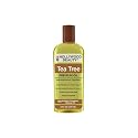 Hollywood Beauty Tea Tree Oil, 8 fl oz (236 ml) each (Pack of 7) Beauty & Personal Care Hollywood Beauty