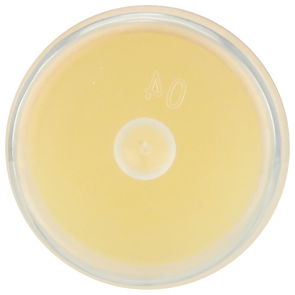 Mongo Kiss Display Center - Lip Balm - Organic - Eco Lips - Vanilla Honey - 0.25 oz - Case of 15 Beauty and Personal Care Mongo Kiss