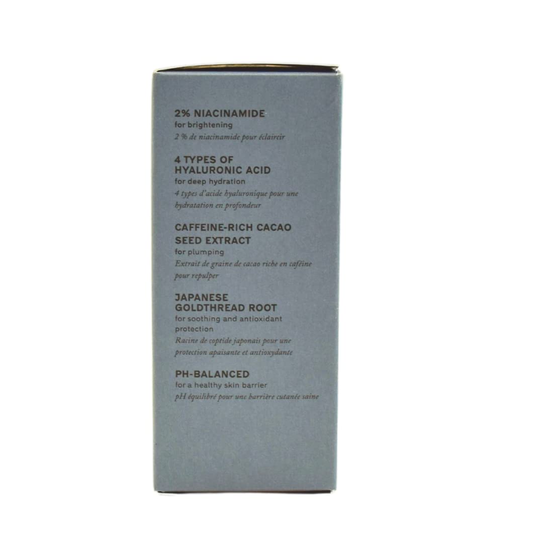 MERIT Great Skin Instant Glow Serum with Niacinamide and Hyaluronic Acid 1.69 oz / 50 ml Beauty & Personal Care Merit