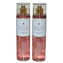 Bath & Body Works Fragrance Mist 2-Pack 8oz Each (Hibiscus Paradise) Beauty & Personal Care Bath & Body Works
