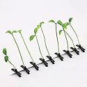 Dreamxue Funny Grass Hair Clips, 4 Pcs Bean Sprout Hairpins, Green Leaf Plant Antenna Hair Pins Hair Accessories for Women Girls Kids Beauty & Personal Care Dreamxue