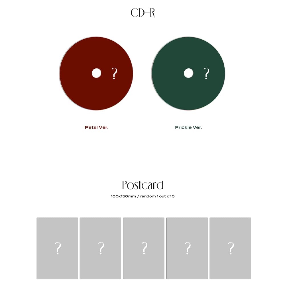 RYEOWOOK - A Wild Rose 3rd mini album (Set ver.) Beauty & Personal Care DREAMUS
