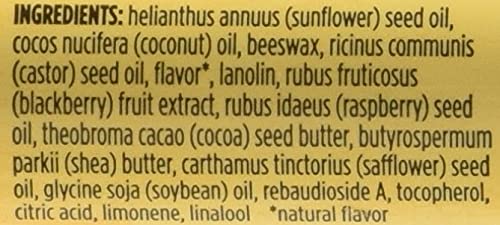 BURTS BEES Berry Agua Fresca Lip Balm, 0.15 OZ Beauty & Personal Care Burt's Bees