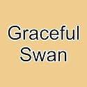 Graftobian F/X Aire Airbrush Makeup (Graceful Swan) Beauty & Personal Care Graftobian