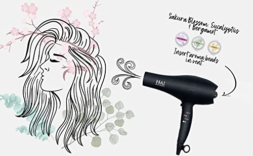 StyleScent Blow Dryer Beauty & Personal Care HAI Beauty Concepts