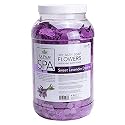 Lapalm | Dry Bath Soap Flowers | Sweet Lavender Dreams | 1 Gallon Beauty & Personal Care La Palm