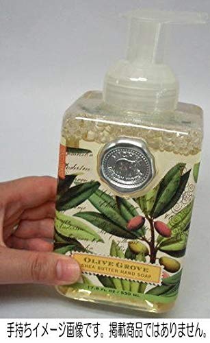 Michel Design Works Scented Foaming Hand Soap, Ho Ho Ho Beauty & Personal Care Michel Design Works
