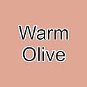 Graftobian F/X Aire Airbrush Makeup (Warm Olive) Beauty & Personal Care Graftobian