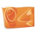 Primal Elements Bar Soap, Tomato Juice Complexion, 5.8 Ounce Beauty & Personal Care Primal Elements