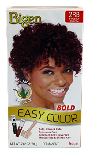 Bigen Easy Color #2rb Burgundy Kit, 1 Ea, 1count Beauty & Personal Care Bigen