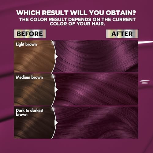 Garnier Nutrisse Ultra Color Hair Color, Permanent Hair Dye for Up to 8 Weeks of Bold, Vibrant, Fade-Resistant Results, Vegan & Cruelty-Free, V2 Dark Beauty & Personal Care Garnier