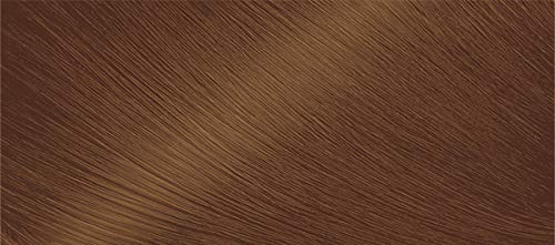 Bigen One Push 3 Light Brown - 2 Pack Beauty & Personal Care Bigen