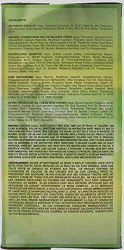 Africa's Best Organics Olive Organics Olive Oil Twin Kit,Yellow,2-Pack,FB-38493 Beauty & Personal Care Africa's Best
