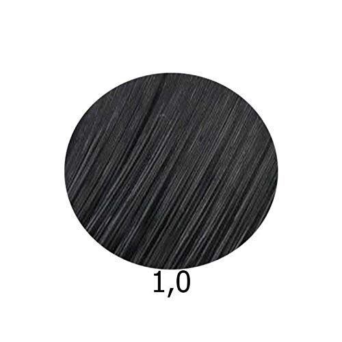 Schwarzkopf IGORA ROYAL Permanent Color Creme (6-0 Dark Blonde) Beauty & Personal Care Schwarzkopf Professional