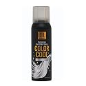 BTL Color Code Temporary Hair Color Spray-On! Vibrant & Easy to Wash | Fast Drying (3oz/80g) (Glitter Silver, 3oz/80g) Beauty & Personal Care BTL Professional