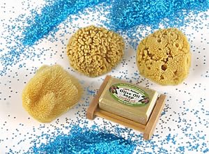 Natural Sea Sponge Sampler By SEASATIONALS™ (3"-4" Craft Sized Sponges) Beauty and Personal Care SEASATIONALS