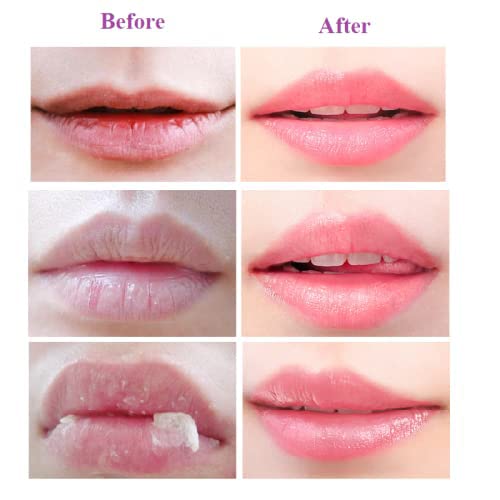 2PCS Bee Balm Honey Pot,Propolis Moisturizing Lip Mask,Hydrating & Prevention Dry and Cracked Lip Scrubs Exfoliator Beauty & Personal Care Krajiyya