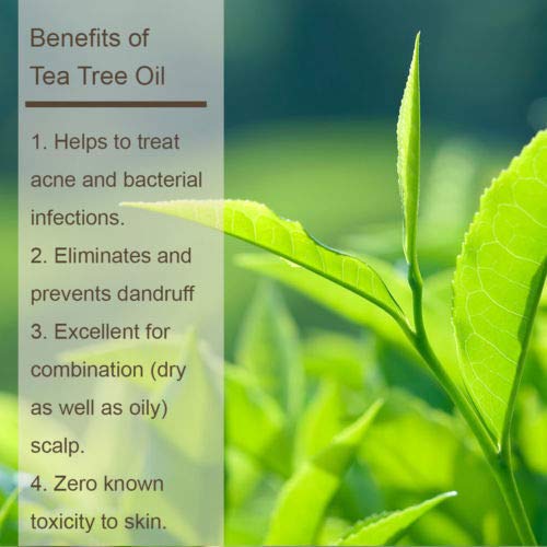 Luseta Tea Tree & Argan Oil Detangling Shampoo & Conditioner Set, 2 x 33.8 Oz Beauty & Personal Care L LUSETA
