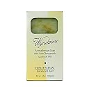 Forest Retreat Bar Soap Beauty & Personal Care Wyndmere
