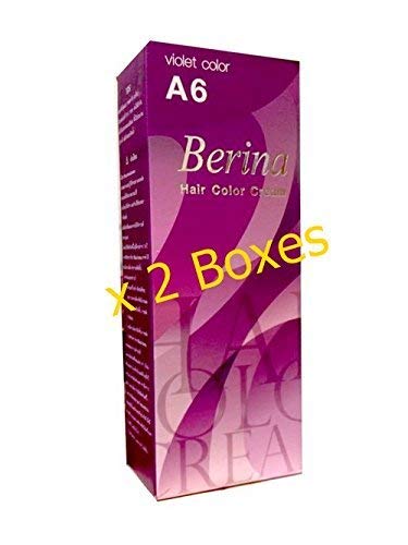 Pack of 2 Sets Berina BERINA PROFESSIONALS Hair Color Cream Permanent Hair Dye Color A6 : Violet 60 G. Super Permanent Fashion Unisex Beauty & Personal Care Berina