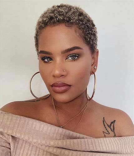 Naseily Hair Short Ombre Brown Curly Wig Short Afro Kinky Curly Wigs for Women Short Synthetic Wigs for Black Women Curly Hairstyles