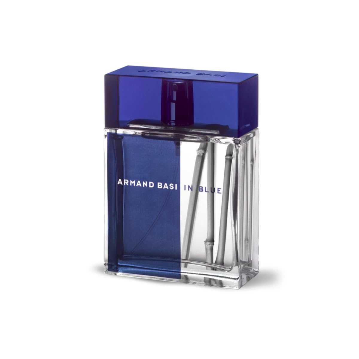 Armand Basi in Blue Eau de Toilette Spray, 3.4 Ounce Beauty & Personal Care Armand Basi