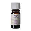 Living Libations - Organic Yogi Tooth Serum | Natural, Wildcrafted Clean Beauty (.17 fl oz | 5 ml) Beauty & Personal Care LIVING LIBATIONS