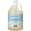 Ginger Lily Farms Club & Fitness Moisturizing Shampoo for All Hair Types, 100% Vegan & Cruelty-Free, Rain Water Scent, 1 Gallon (128 fl oz) Refill Beauty & Personal Care Ginger Lily Farms
