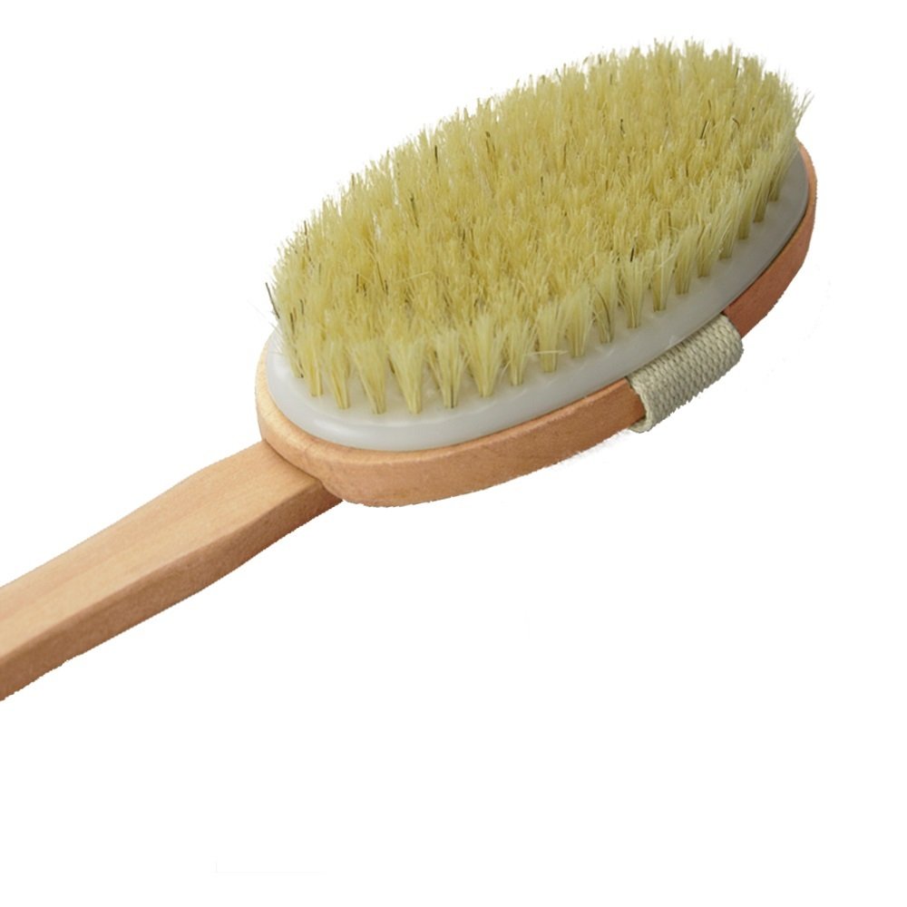 Dry Skin Body Brush 16"- Natural Bristle - For Dry Brushing - Detachable Handle -Removes Dead Skin & Toxins, Helps Cellulite, Lymphatic Functions Beauty & Personal Care Wholesome Beauty
