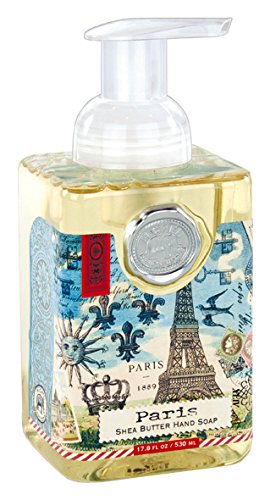 Michel Design Works Paris Foaming Soap, 17.8-Ounce Beauty & Personal Care Michel Design Works