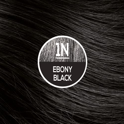 Naturtint Permanent Hair Color 1N Ebony Black - 5.4 fl oz Beauty & Personal Care Naturtint