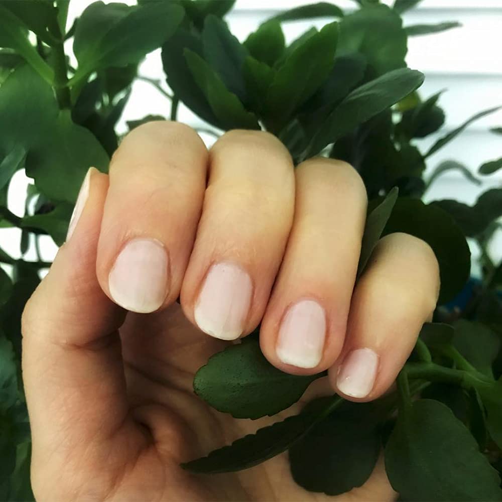 Dazzle Dry Mini Kit 4 Step System - Rose Quartz, a light peach blossom with pink blush. Semisheer cream. (5 Piece Kit / 5 Manicures) Beauty & Personal Care Dazzle Dry