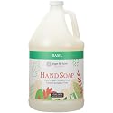 Ginger Lily Farms Botanicals All-Purpose Liquid Hand Soap Refill, 100% Vegan & Cruelty-Free, Basil Scent, 1 Gallon (128 fl oz) Beauty & Personal Care Ginger Lily Farms