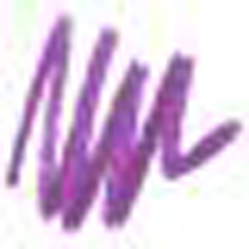 Nicka K Auto Lip Liner AA36 DARK ORCHID Beauty & Personal Care NICKA K NEW YORK