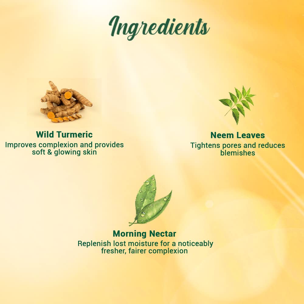 Biotique Botanicals Morning Nectar Lotion, 4.05 Fluid Ounce Beauty & Personal Care Biotique