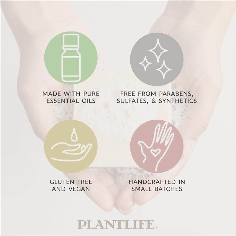 Plantlife Cassia Clove Bar Soap - Moisturizing and Soothing Soap for Your Skin - Hand Crafted Using Plant-Based Ingredients - Made in California 4oz Beauty & Personal Care Plantlife