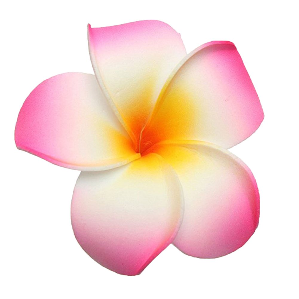 GSHLLO 10 Pcs 7cm Multicolor Hawaiian Hair Clip Beach Foam Flower Headpieces for Wedding Party Accessories Beauty & Personal Care FSSTUD