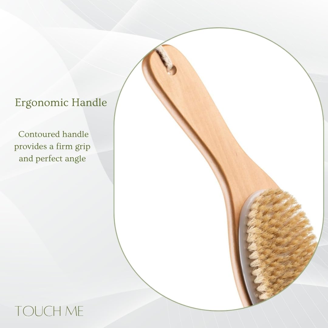 100% Natural Boar Bristle Body Brush with Contoured Wooden Handle by TOUCH ME Beauty & Personal Care Touch Me