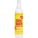 STAR CARE Curl Back Moisturizer Spray - Argan Oil & Biotin Strengthening & Nourishing Hair Mist for Braids, Locks, Afros & Curly Hair Lightweight Beauty & Personal Care STAR CARE