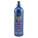 Roux Fanci-Full Rinse #42 Silver Lining 15.2 Ounce (450ml) (2 Pack) Beauty & Personal Care Roux