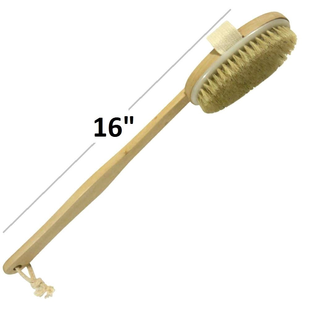 Dry Skin Body Brush 16"- Natural Bristle - For Dry Brushing - Detachable Handle -Removes Dead Skin & Toxins, Helps Cellulite, Lymphatic Functions Beauty & Personal Care Wholesome Beauty