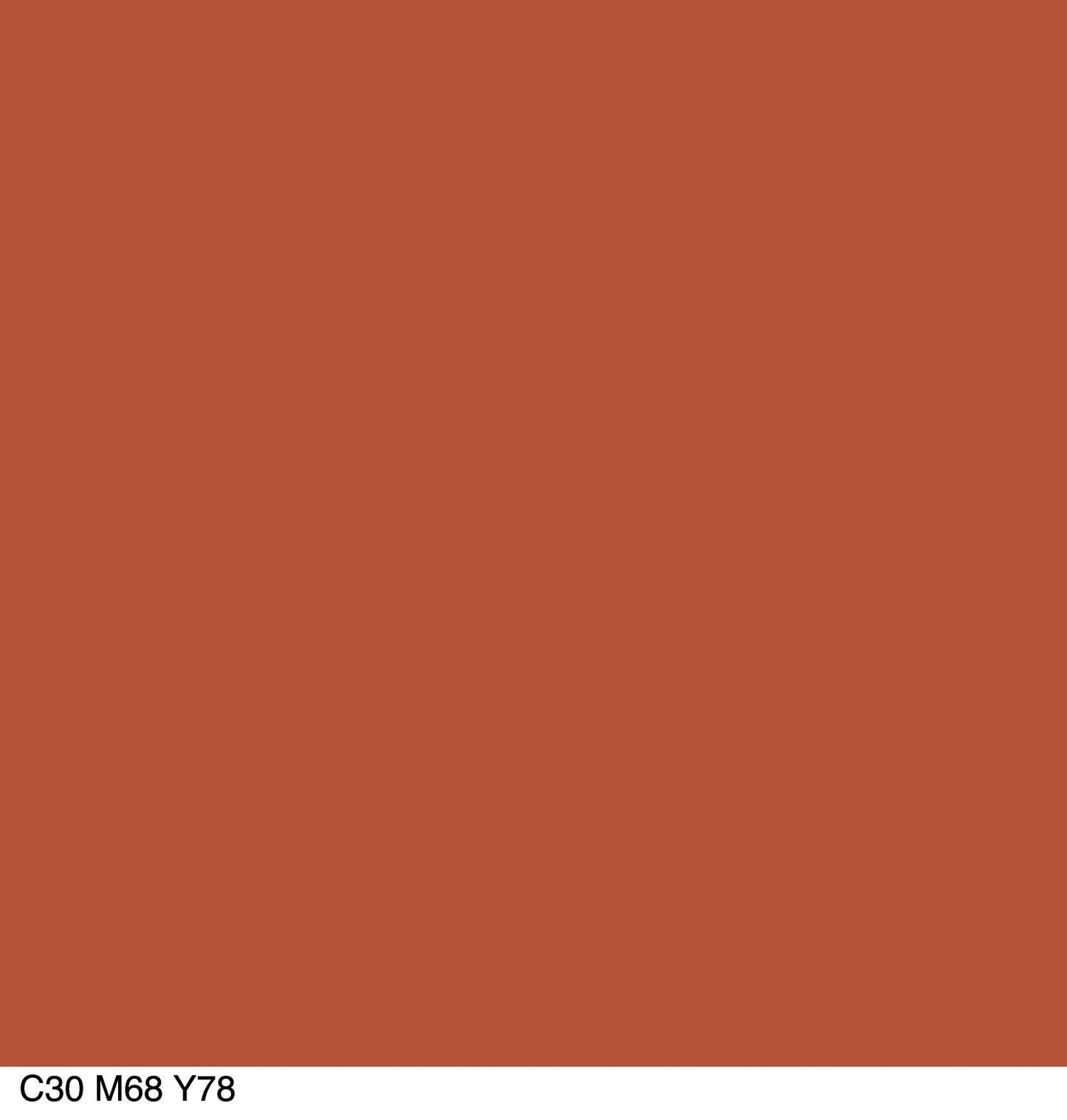 COVERGIRL Colorlicious Lip Perfection Lip Liner Smoky 205, .04 oz (packaging may vary) Beauty & Personal Care COVERGIRL