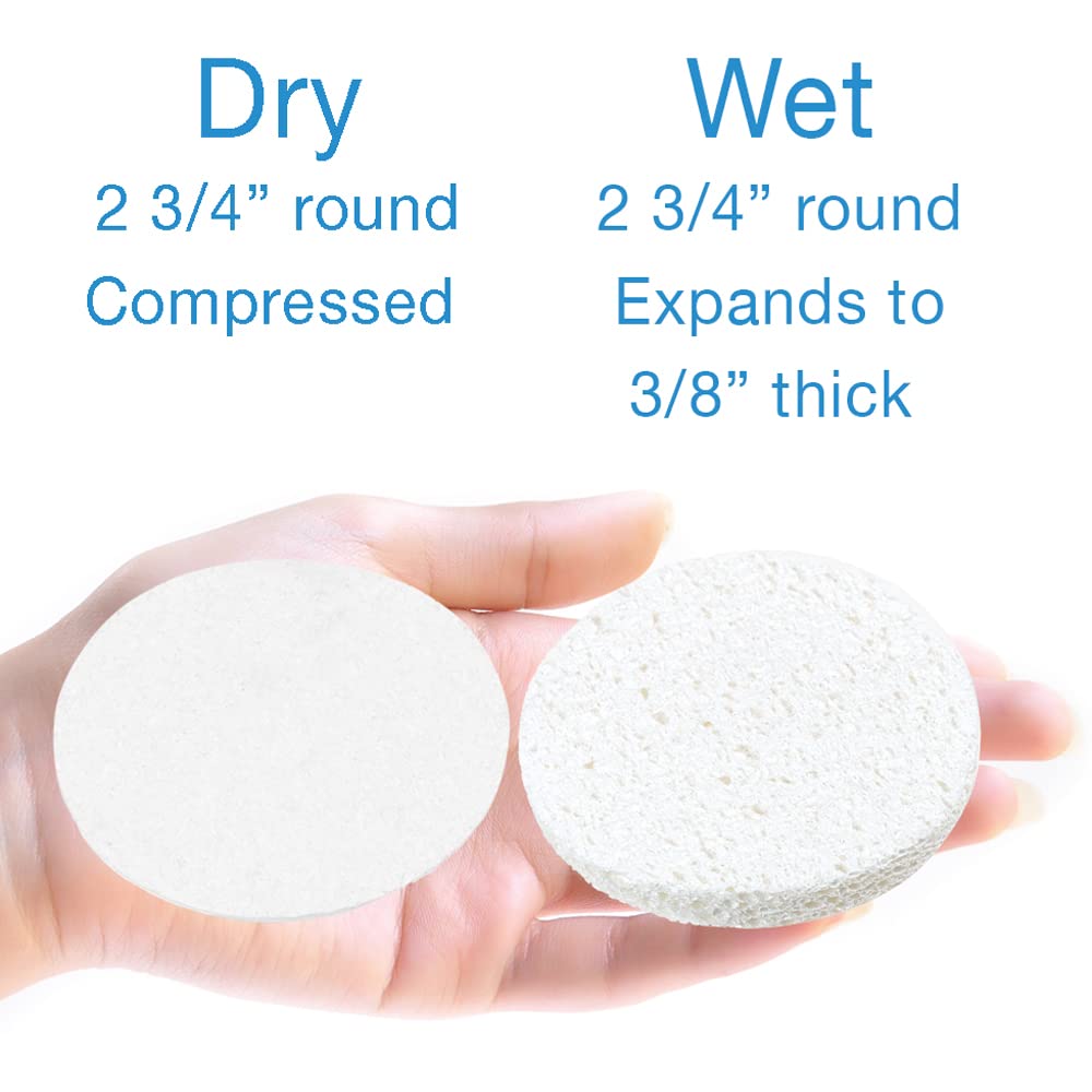 ForPro Professional Collection Premium Compressed Facial Sponges, 50-Count Cellulose Sponges for Facial Cleaning, Exfoliating and Makeup Removal Beauty & Personal Care ForPro Professional Collection