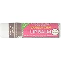 Soothing Touch Lip Balm Vegan Vanilla Chai, Pack of 3 Beauty & Personal Care Soothing Touch
